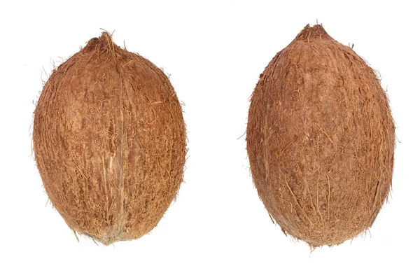 Два целых кокоса изолированы на белом фоне. Плоский лежал. Вид сверху — стоковое фото