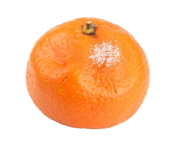 Un mandarino ammuffito isolato su sfondo bianco — Foto Stock