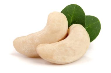 Beyaz arka plan üzerinde izole yaprak ile kaşu fındık. Makro