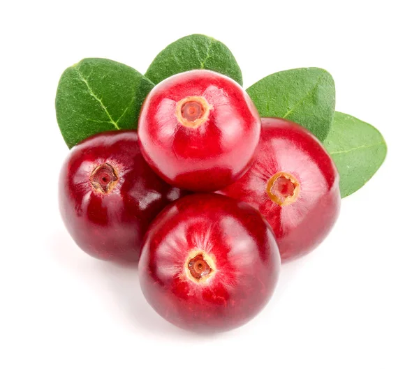 Beyaz arka plan closeup makro'izole yaprak ile kızılcık