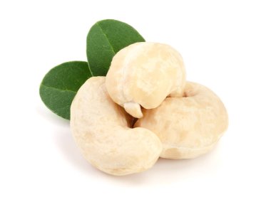 Beyaz arka plan üzerinde izole yaprak ile kaşu fındık. Makro