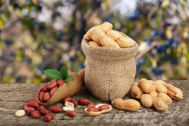 Fıstık yaprak çanta bulanık bir bahçe arka plan eski ahşap tablo