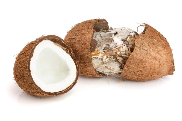 Coco estropeado con moho aislado sobre fondo blanco — Foto de Stock
