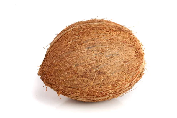 Целый кокос изолирован на белом фоне — стоковое фото