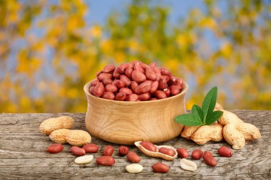 yaprak kase eski bir bulanık Bahçe arka plan ile ahşap tabloda fıstık