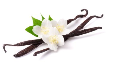 Çiçek ve yaprak beyaz arka plan üzerinde izole ile vanilya çubukları