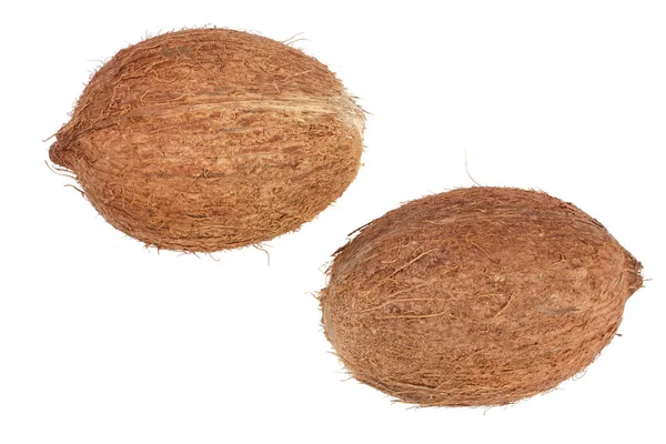 Dva celé kokos izolovaných na bílém pozadí. Byt leží. Pohled shora — Stock fotografie