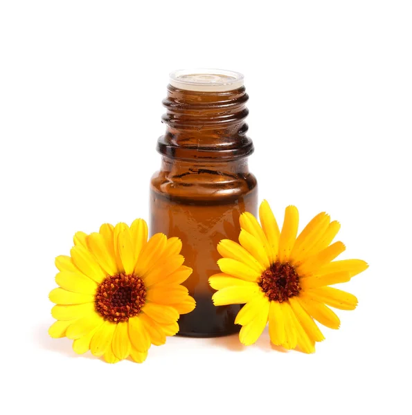 Aceite esencial de aromaterapia con flores de caléndula fondo blanco aislado —  Fotos de Stock