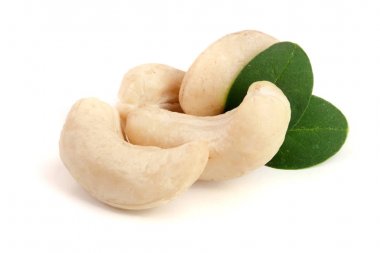 Beyaz arka plan üzerinde izole yaprak ile kaşu fındık. Makro