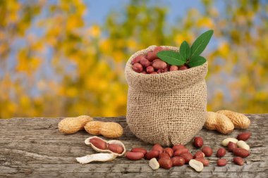 Fıstık çanta üzerinde eski bir bulanık Bahçe arka plan ile ahşap masa üzerinde yaprak ile