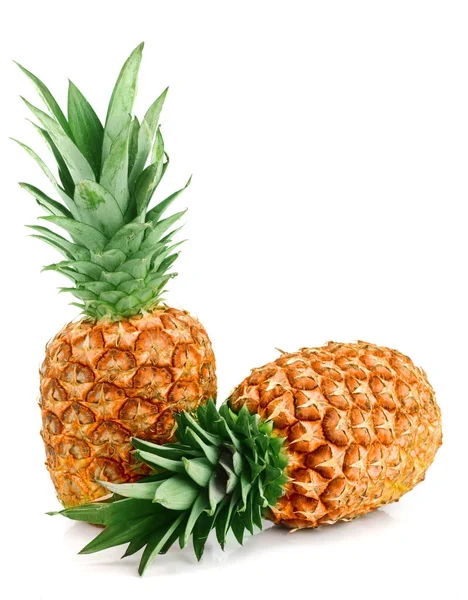 Két érett ananász elszigetelt fehér background — Stock Fotó
