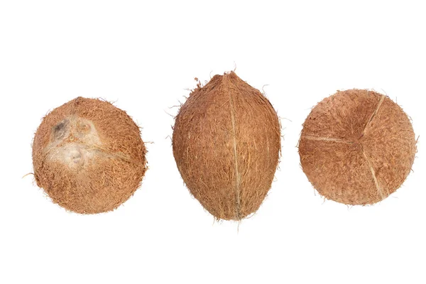 Три целых кокоса изолированы на белом фоне. Плоский лежал. Вид сверху — стоковое фото