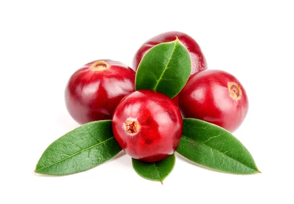 Cranberry com folha isolada no fundo branco close-up macro — Fotografia de Stock