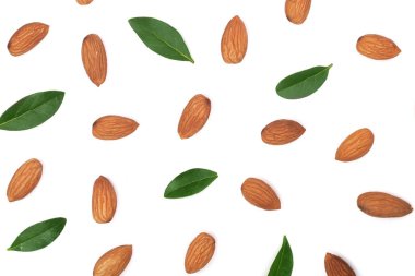 Beyaz arka plan üzerinde izole yaprakları ile badem. Düz yatıyordu desen