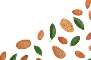 badem kopya alanı metniniz için beyaz zemin üzerine izole yaprakları ile. Üstten Görünüm