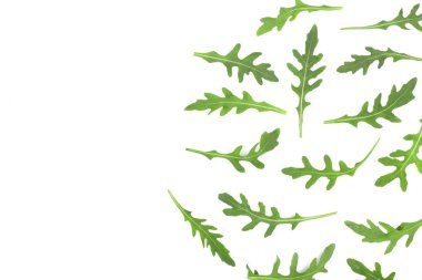 kopya alanı metniniz için beyaz zemin üzerine izole rucola veya roka yaprağı. . Üstten Görünüm. Düz yatıyordu desen