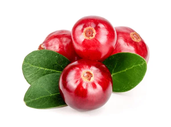 Cranberry with leaf isolated on white background closeup macro — Stock Photo, Image