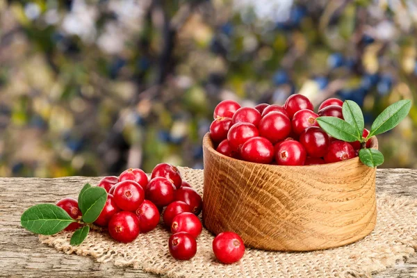 Mirtillo rosso con foglia in ciotola di legno su vecchio tavolo di legno con sfondo giardino sfocato — Foto Stock