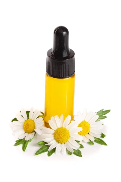 Botella con aceite esencial y flores frescas de manzanilla aisladas sobre fondo blanco — Foto de Stock