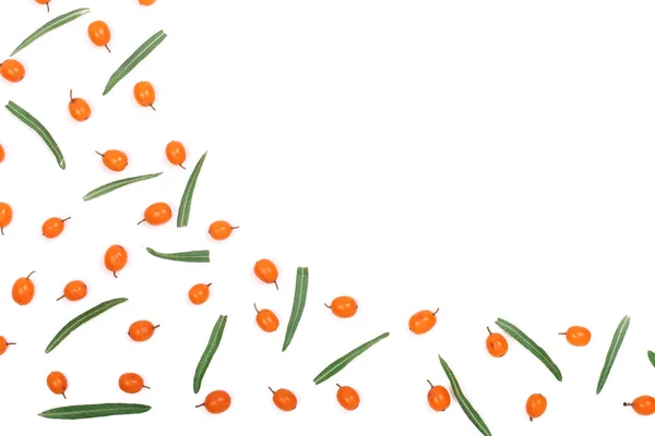 Морская облепиха. Каркас спелых свежих ягод выделен на белом фоне с копировальным пространством для текста. Вид сверху — стоковое фото