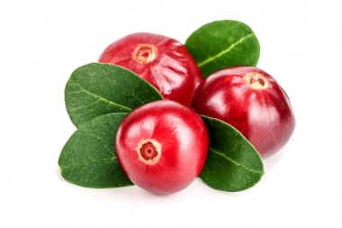 Beyaz arka plan closeup makro'izole yaprak ile kızılcık