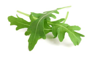Beyaz arka plan makro'izole yeşil taze rucola veya roka yaprağı