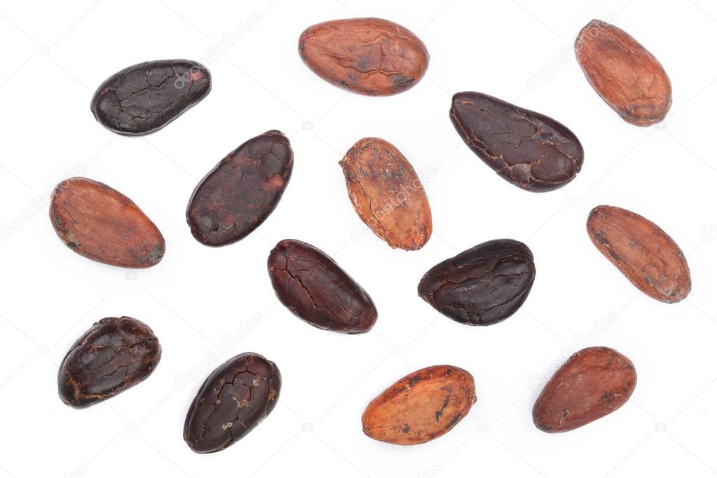 cocoa bean isolated on white background top view. Flat lay