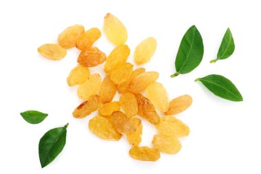 Beyaz arka plan üzerinde üstten görünüm izole yaprakları ile kuru üzüm. Düz yatıyordu