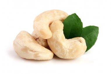 Beyaz arka plan üzerinde izole yaprak ile kaşu fındık. Makro