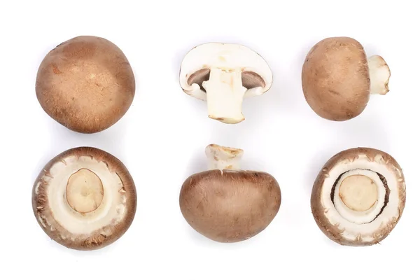 Свежий шампиньон грибы изолированы на белом фоне. Вид сверху. Плоский лежал. Набор или коллекция — стоковое фото