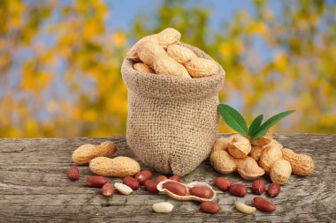 Fıstık yaprak çanta bulanık bir bahçe arka plan eski ahşap tablo