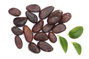 Beyaz arka plan üzerinde üstten görünüm izole yaprak ile kakao çekirdeği. Düz yatıyordu