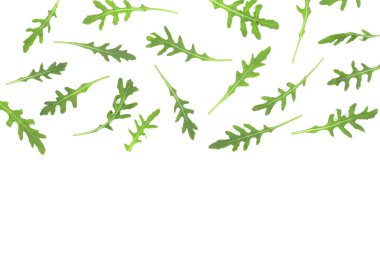 kopya alanı metniniz için beyaz zemin üzerine izole rucola veya roka yaprağı. . Üstten Görünüm. Düz yatıyordu desen