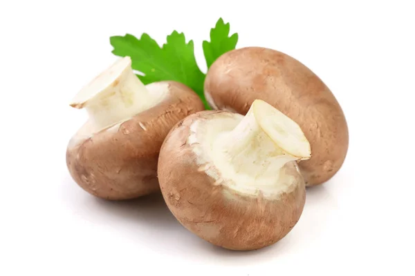 Koninklijke bruin champignon met peterselie blad geïsoleerd op witte achtergrond — Stockfoto