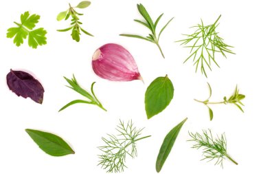 Taze baharat ve otlar beyaz arka plan üzerinde izole. Dereotu maydanoz fesleğen kekik tarhun sarımsak. Üstten Görünüm