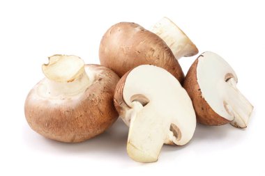 Kraliyet kahverengi champignon yarısı beyaz arka plan üzerinde izole
