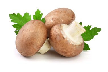 Kraliyet kahverengi champignon beyaz arka plan üzerinde izole maydanoz yaprağı