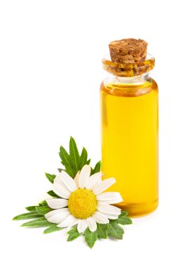 Beyaz arka planda özgün yağ ve taze papatya çiçekleri bulunan şişe.