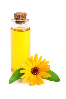 aromaterapi Uçucu yağ kadife çiçeği çiçek izole beyaz arka plan ile