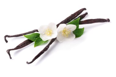 Çiçek ve yaprak beyaz arka plan üzerinde izole ile vanilya çubukları