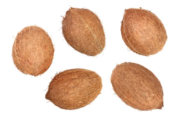 Пять целых кокосов изолированы на белом фоне. Плоский лежал. Вид сверху — стоковое фото
