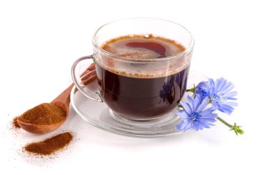 hindiba içki ve beyaz arka plan üzerinde izole hindiba çiçek