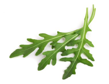 Beyaz arka plan makro'izole yeşil taze rucola veya roka yaprağı
