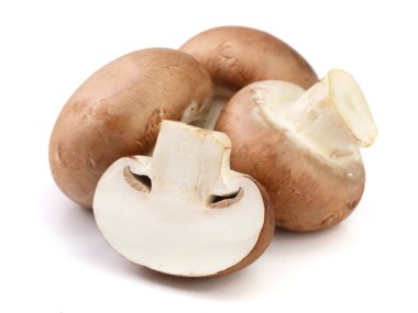 Kraliyet kahverengi champignon yarısı beyaz arka plan üzerinde izole