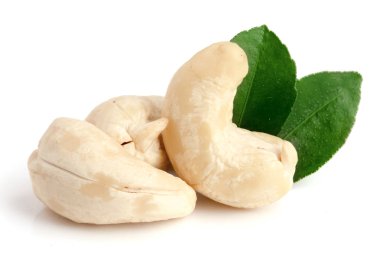 Beyaz arka plan üzerinde izole yaprak ile kaşu fındık. Makro