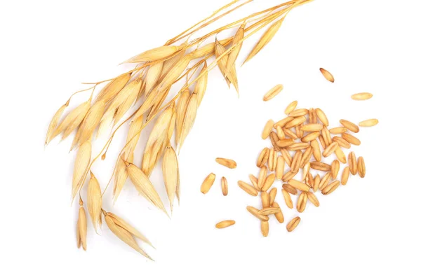 燕麦穗与谷物分离的白色背景。顶部视图。平躺 — 图库照片