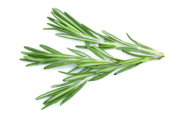 Fresh green rosemary isolated on a white background. Top view. Flat lay — Stock Photo, Image