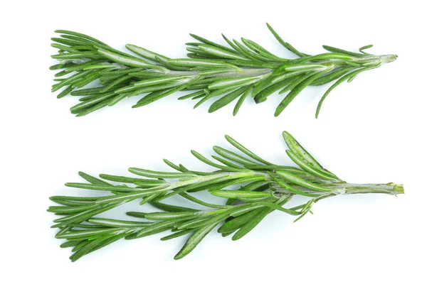 Fresh green rosemary isolated on a white background. Top view. Flat lay — Stock Photo, Image