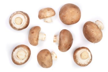 Taze champignon izole üzerinde beyaz arka plan mantar. Üstten Görünüm. Düz yatıyordu