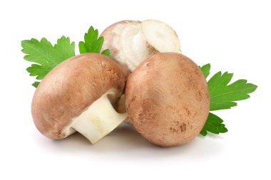 Royal Brown champignon with parsley leaf isolated on white background clipart